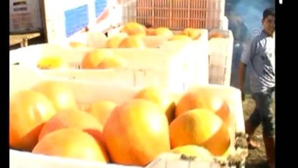 Devlet bankasının desteği, ihracatçı şirketin kapasitesini artırdı