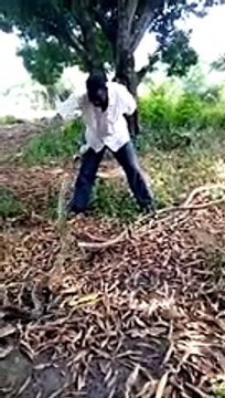 Il attrape cet énorme serpent à mains nues !