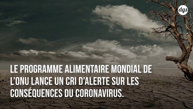 L'ONU alerte sur les conséquences du Covid-19 : Nous sommes au bord d'une pandémie de faim
