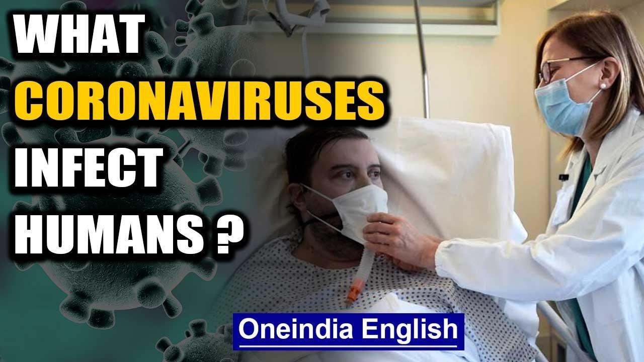 What are the Coronaviruses that can infect humans, watch the video to find out | Oneindia News