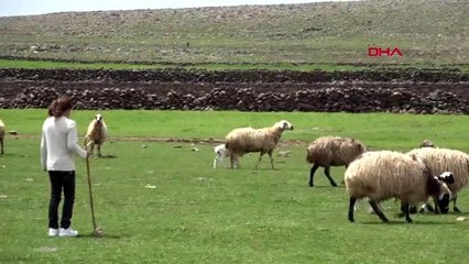 ŞANLIURFA Öğrencilerin hem bayramını hem doğum gününü kutladılar