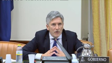 Marlaska insiste en que la monitorización de las redes "no tiene finalidad política"