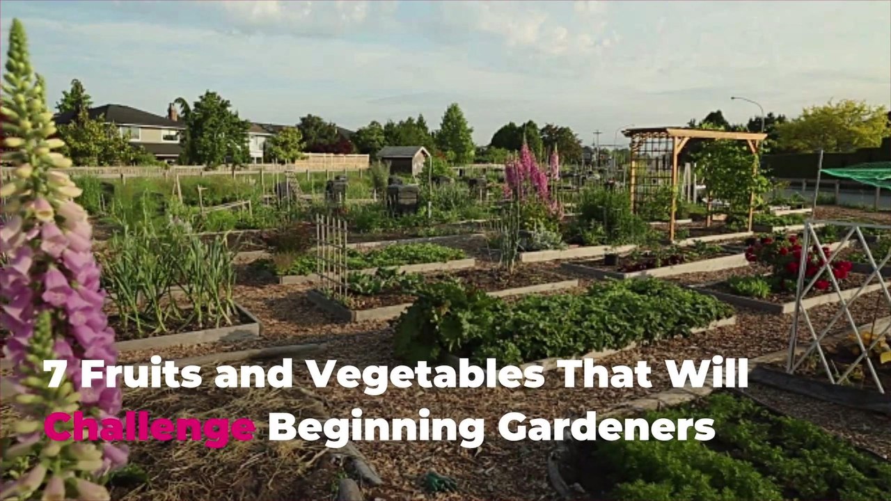 7 Fruits and Vegetables That Will Challenge Beginning Gardeners