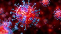 COVID 19 NEWS: कोरोना का खतरा बढ़ा.. नए शोध में डरावना खुलासा | corona virus update news