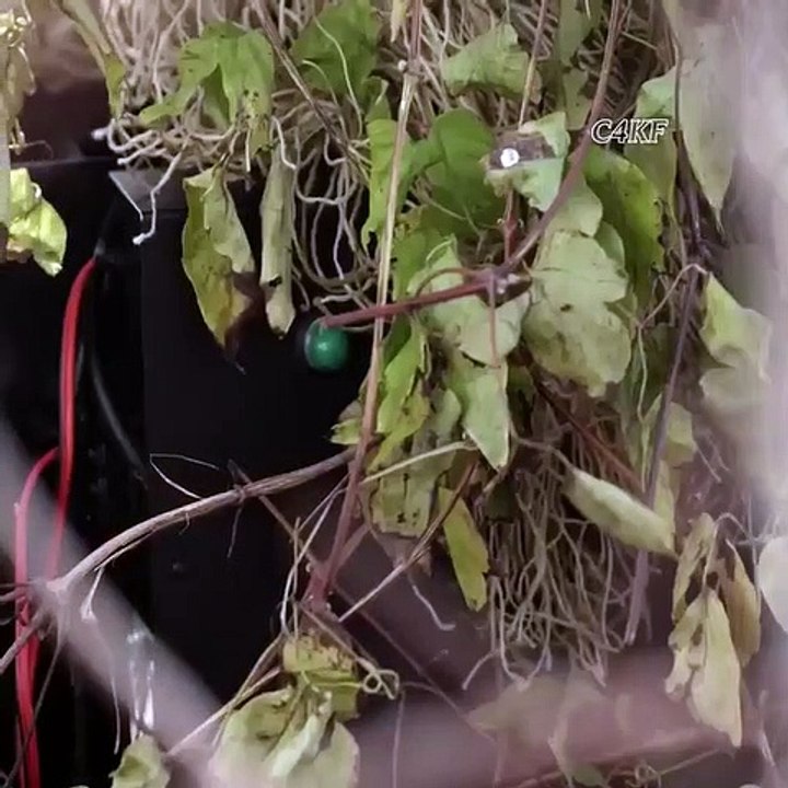 Sniper legacy | Action movies clips | Hollywood Movies