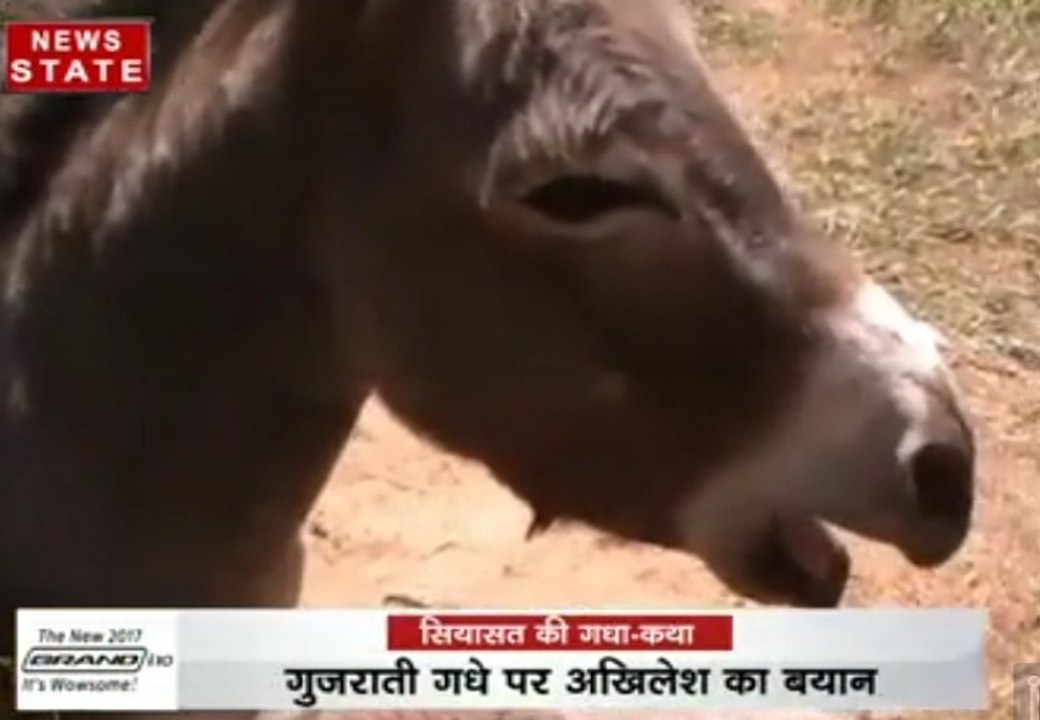 यूपी चुवान में गधे पर सियासी वार, पीएम मोदी ने बताई गधे की खासियतें।