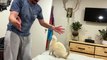 Happy Rescue Ferret Leaps into Owner's Arms