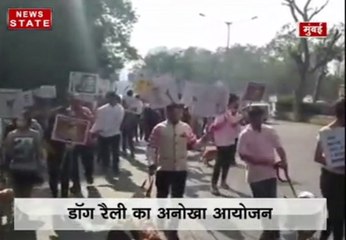बीएमसी चुनाव: मुंबई में डॉग रैली निकालकर मतदान के लिए जागरूक किया