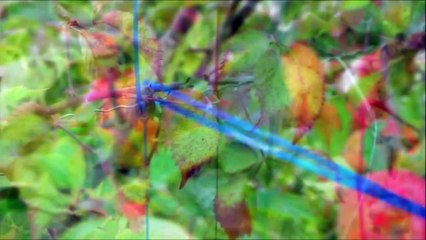 6 Inventions - That Are Saving The Earth !