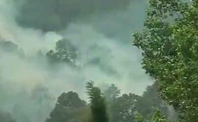 J&K: पाकिस्तान ने पुंछ सेक्टर में किया सीजफायर उल्लंघन