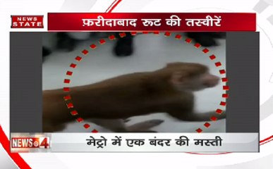 वायरल वीडियो: ये क्या! बंदर ने कर ली मेट्रो की सवारी