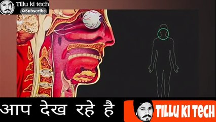 Corona virous Human body ko kese dead krta h