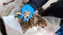 Campania - Sequestrate 20 tonnellate di pellet con sostanze nocive (23.04.20)