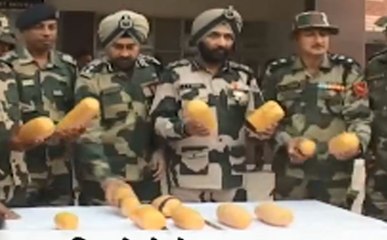 बीएसएफ ने पकड़ी 12 किलो हेरोइन, 2 आरोपी गिरफ्तार