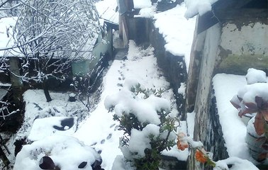 जम्मू-कश्मीर, हिमाचल प्रदेश और उत्तराखंड में बर्फबारी
