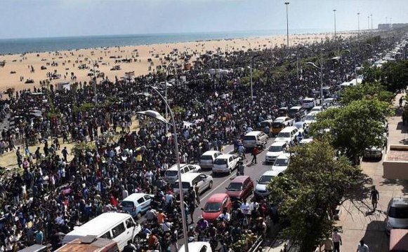 जल्लीकट्टू पर लगे प्रतिबंध के खिलाफ प्रदर्शन तेज, संगठनों ने बुलाया तमिलनाडु बंद, DMK के स्टालिन को पुलिस ने हिरासत में लिया