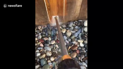 Satisfying pressure washing help Canadian man discover old fence is actually brand new