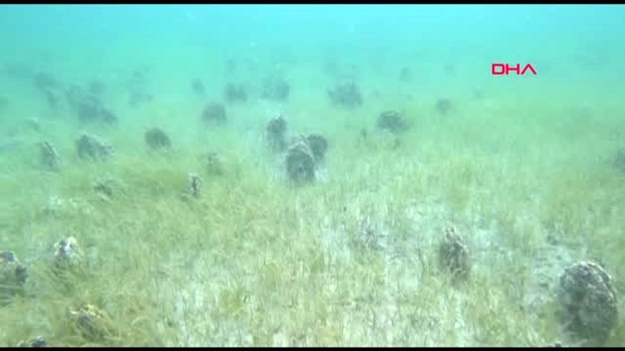 Çanakkale Boğazı'nda 'Pina' mezarlığı görüntülendi