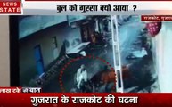 गुजरात: बुल के डबल अटैक का शिकार हुआ युवक, रास्ता पार करना पढ़ा भारी, देखें वीडियो