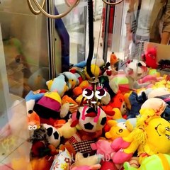 Des fruits extraordinaires et leur transformation magique - TRUC-LAND