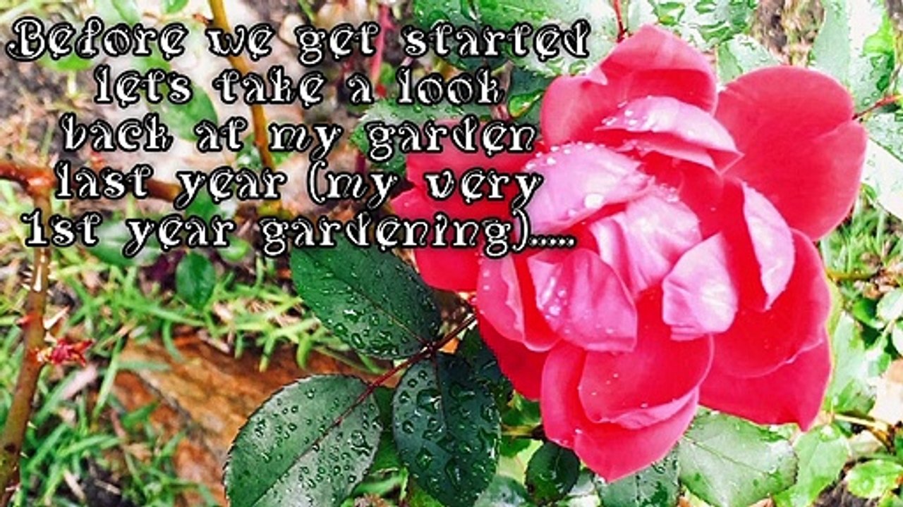 Starting My Vegetable Garden Due to Food Shortages From Corona/Covid 19 Virus | Planting Seeds