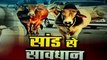 Uttar pradesh: गोरखपुर में सांड का आतंक, 1 हफ्ते में कई लोग हुए सांड के गुस्से का शिकार