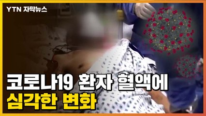 [자막뉴스] "젤리처럼..." 코로나19 일부 환자 혈액에 심각한 변화 / YTN