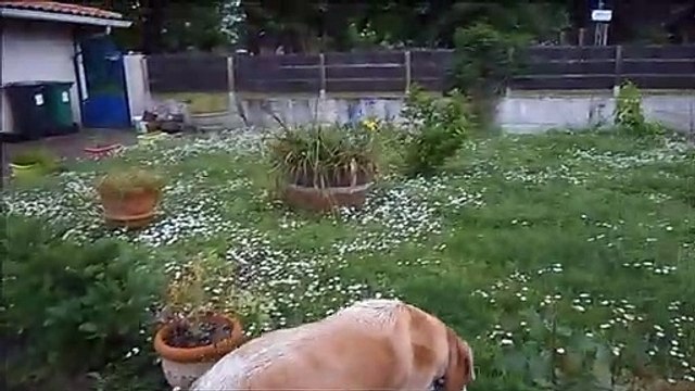 Cannelle après son avc