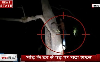 Uttar pradesh: भीड़ से जान बचाने के लिए पेड़ पर चढ़ा युवक, हुआ बच्चा चोर अफवाह का सिकार