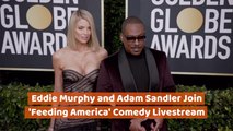 Eddie Murphy And Adam Sandler On A Comedy Livestream