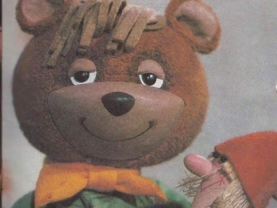 A TV Maci története