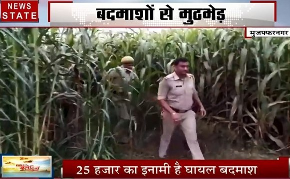 Uttar pradesh: मुजफ्फरनगर में पुलिस और बदमाशों के बीच मुठभेड़, देखें जंगल में एनकाउंटर की तस्वीरें