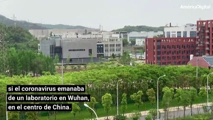 OMS desmiente versiones de que el coronavirus salió de un laboratorio