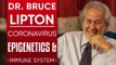 DR BRUCE LIPTON - CORONAVIRUS, EPIGENETICS & IMMUNE SYSTEM - MOST DANGEROUS PART OF COVID-19 IS FEAR