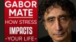 GABOR MATE - CORONAVIRUS TRAUMA & SELF-ISOLATION MENTAL HEALTH: How Stress Impacts Your Life