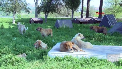 Mama kaplarını kırdılar