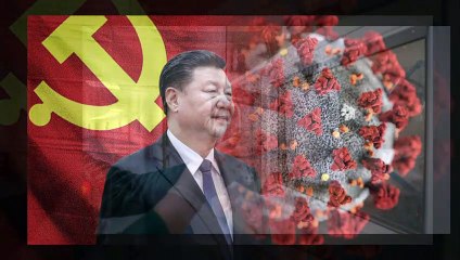 coronavirus নিয়ে এবার মনে হয় ধরাই খেতে হবে চীনকে