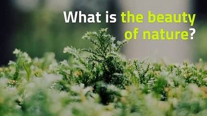 Understanding Nature 🌿