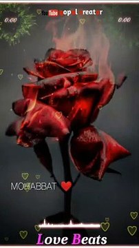 Mohabbat to aab main na karunga kisi ko heart touching song full screen WhatsApp status lyrics