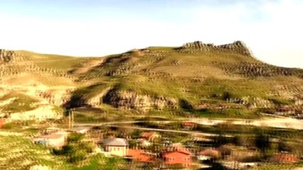 Tarihi mahallenin kadın çobanının tek dostu koyunları