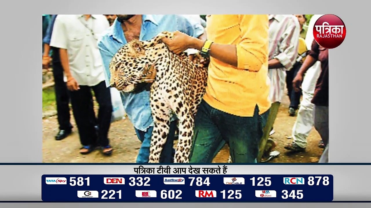 लॉकडाउन के दौरान बढ़ रही है वन्यजीवों के शिकार की घटनाएं वन्यजीवों पर शिकारियों की नजर