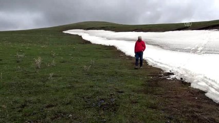 Doğada açan çiçekler görenleri büyülüyor