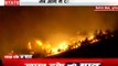पुर्तगाल : जंगल में लगी आग भीषण आग, देखकर खड़े हो जाएंगे रोंगटे