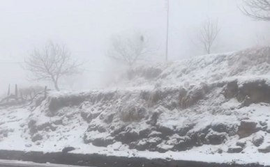 हिमाचल-उत्तराखंड में बढ़ी ठिठुरन, शिमला में बर्फबारी