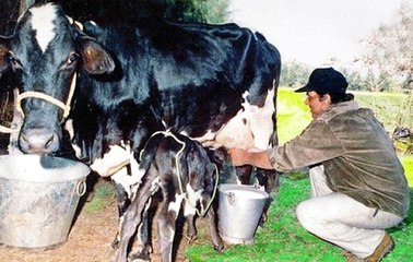 लोनावला के फार्महाउस में फुर्सत के पल बिता रहे हैं धर्मेंद्र