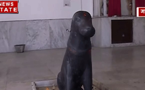गाजियाबादः एक ऐसा मंदिर जहां होती है कु्त्ते की पूजा