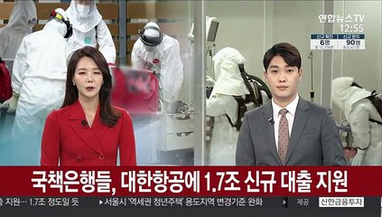 국책은행들, 대한항공에 1.7조 신규 대출 지원