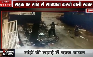 Shocking News : मुंबई- IIT कैंपस में घुसा सांड, छात्र पर किया हमला, देखें वीडियो