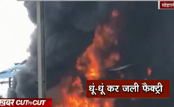 Khabar Cut2Cut : मोहाली के केमिकल फैक्ट्री में लगी आग, देखिए 12 मिनट में देश दुनिया की बड़ी ख़बरें