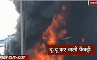 Khabar Cut2Cut : मोहाली के केमिकल फैक्ट्री में लगी आग, देखिए 12 मिनट में देश दुनिया की बड़ी ख़बरें
